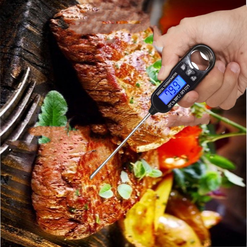 Meat and a thermometer.